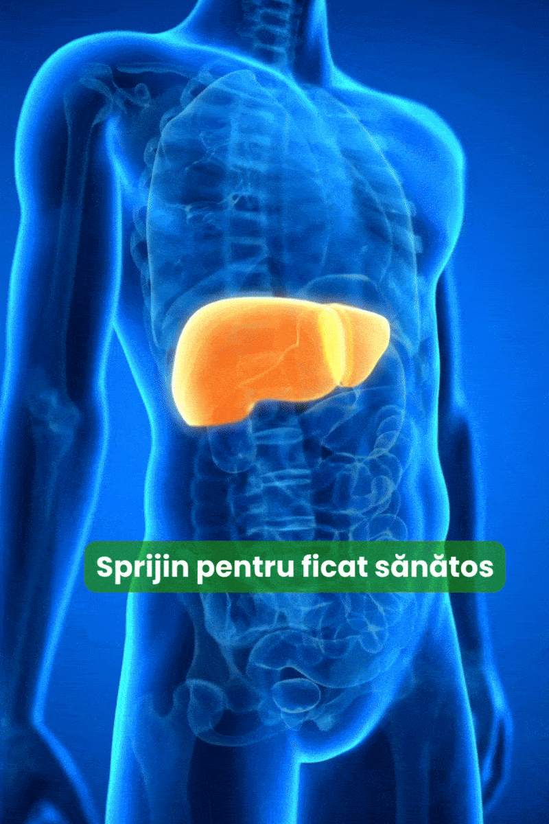 PRO FICAT - Spriji natural pentru ficatul tău